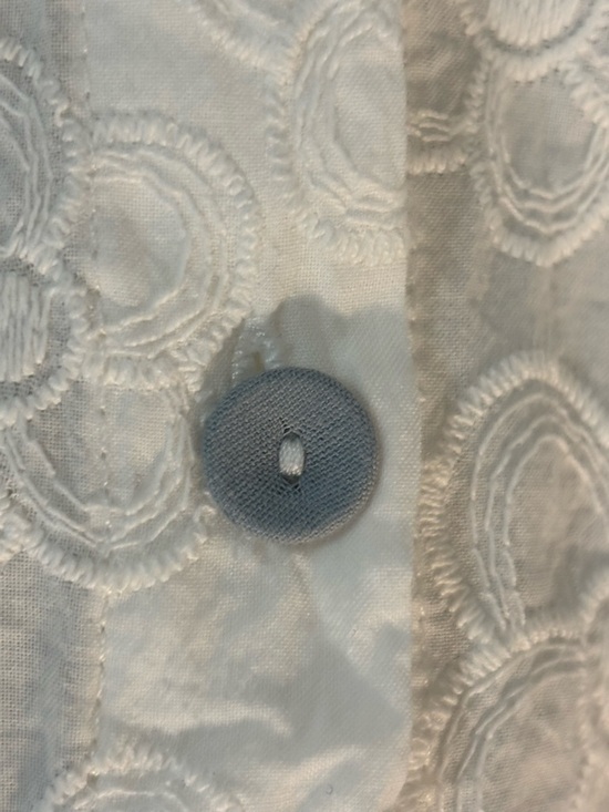 Cotton Eyelet Lace Peter Pan Collar Button-Up Blouse - Picture 13 of 14